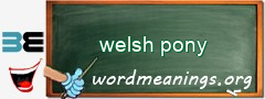 WordMeaning blackboard for welsh pony